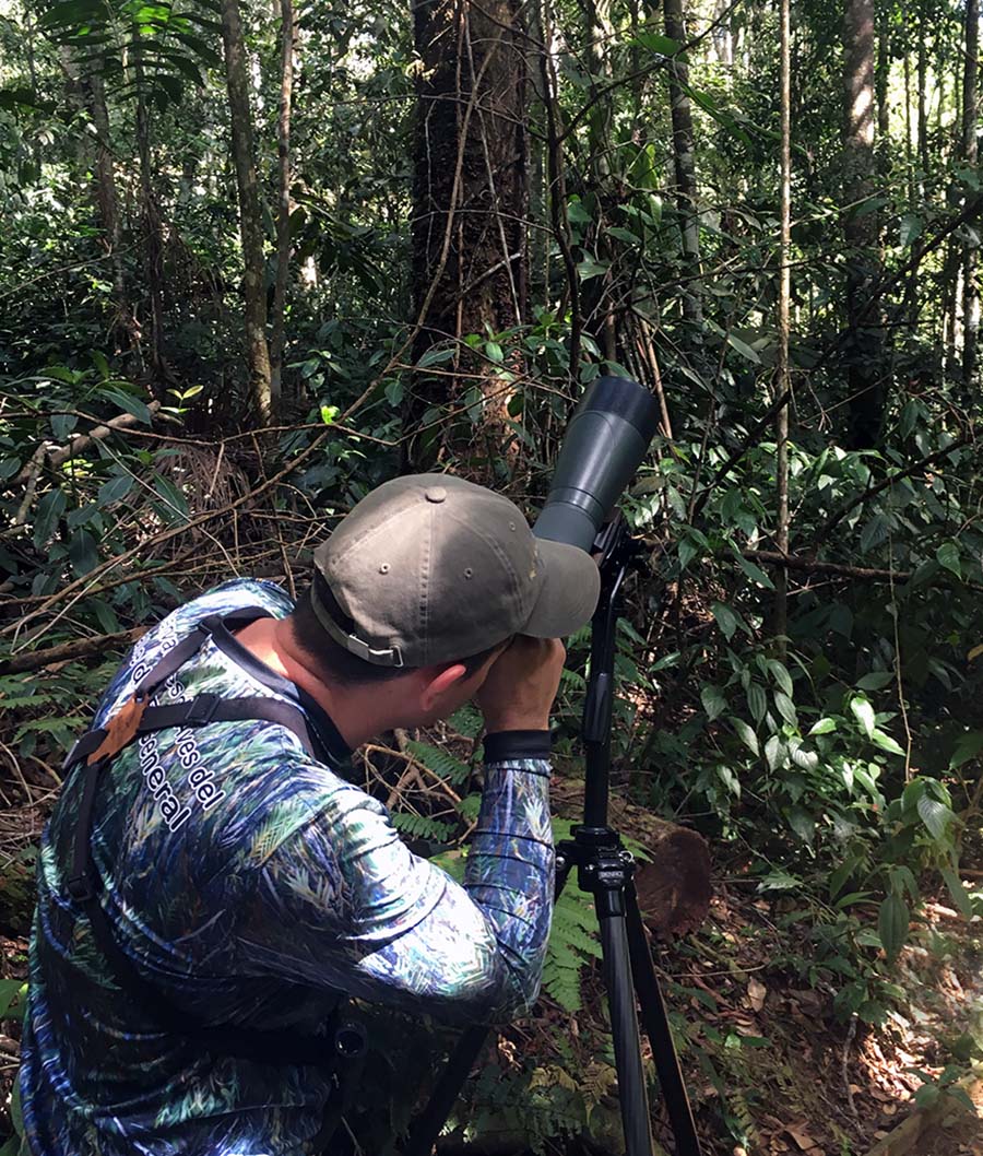 Birdwatching in Los Cusingos in Costa Rica