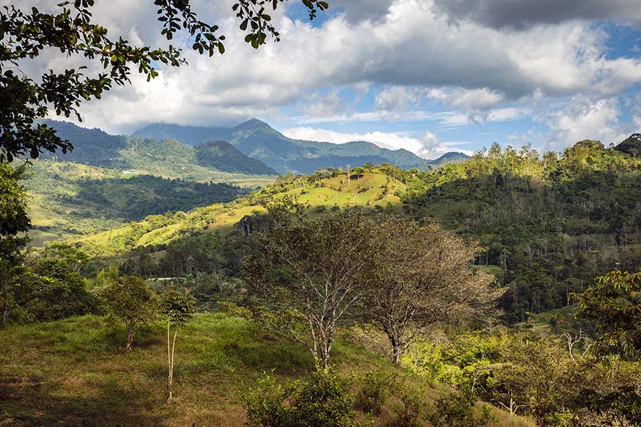 Landscape of Quizarra in Costa Rica