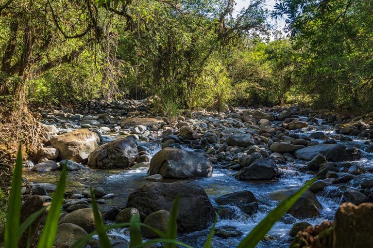 Guided Bird-watching Tour in Los Cusingos | Independent Travels Far and ...