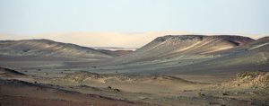 Lichen fields of Skeleton Coast in Namibia