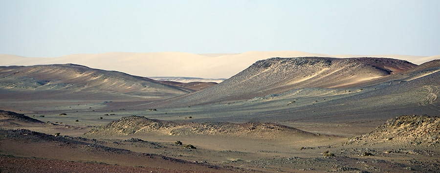 Lichen fields of Skeleton Coast in Namibia