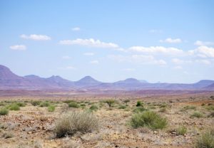 Skeleton Coast-Damaraland border landscape and vegetation