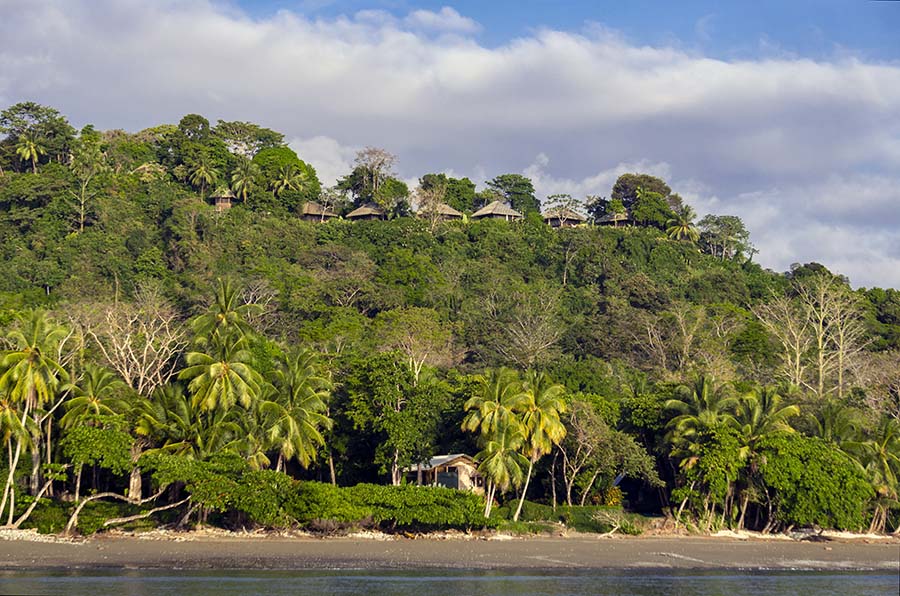 View of Lapa Rios Ecolodge from Matapalo Beach