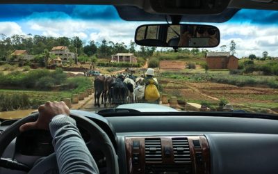 Can You Rent a Car without a Driver in Madagascar?