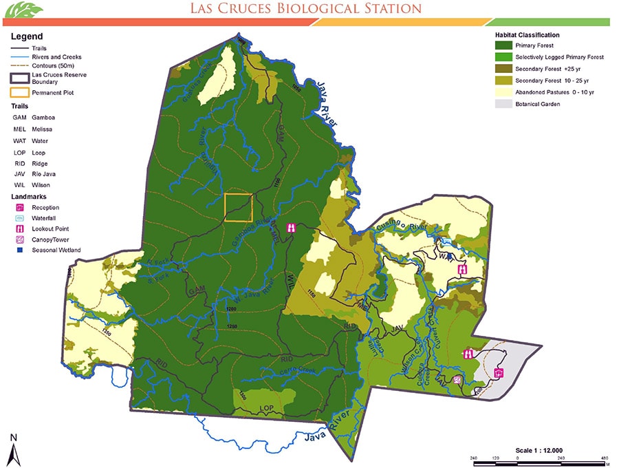 Las Cruces Biological Station- Forest Trails Map